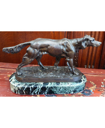 A French Bronze Setter Dog