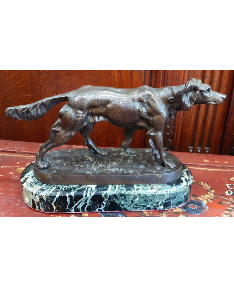A French Bronze Setter Dog