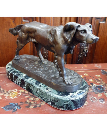A French Bronze Setter Dog