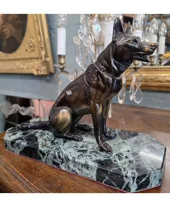 A French Alsatian Dog