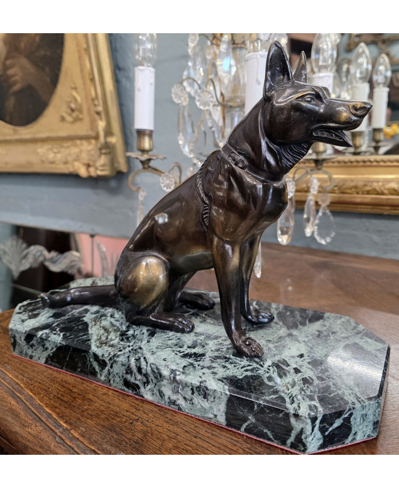 A French Alsatian Dog
