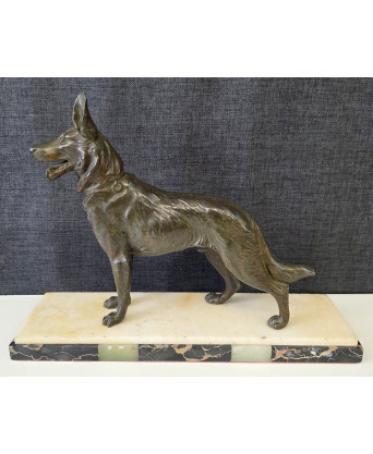 A French Alsatian Dog