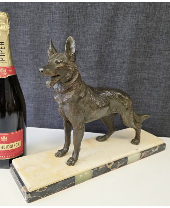 A French Alsatian Dog