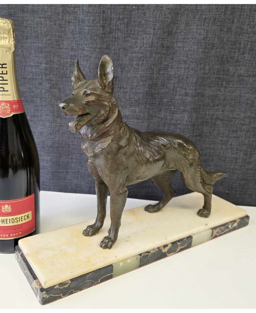A French Alsatian Dog