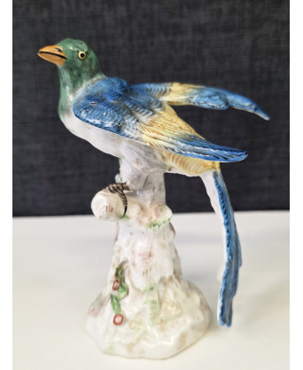 A Paris Porcelain Bird 