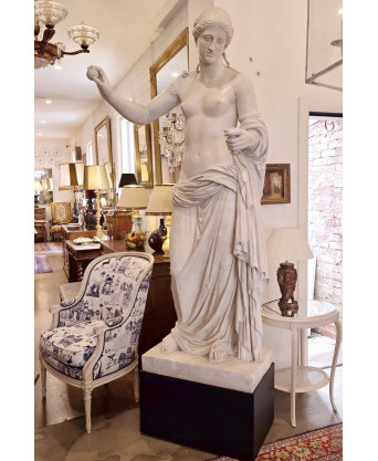 A Classical Statue of Venus