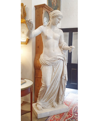 A Classical Statue of Venus