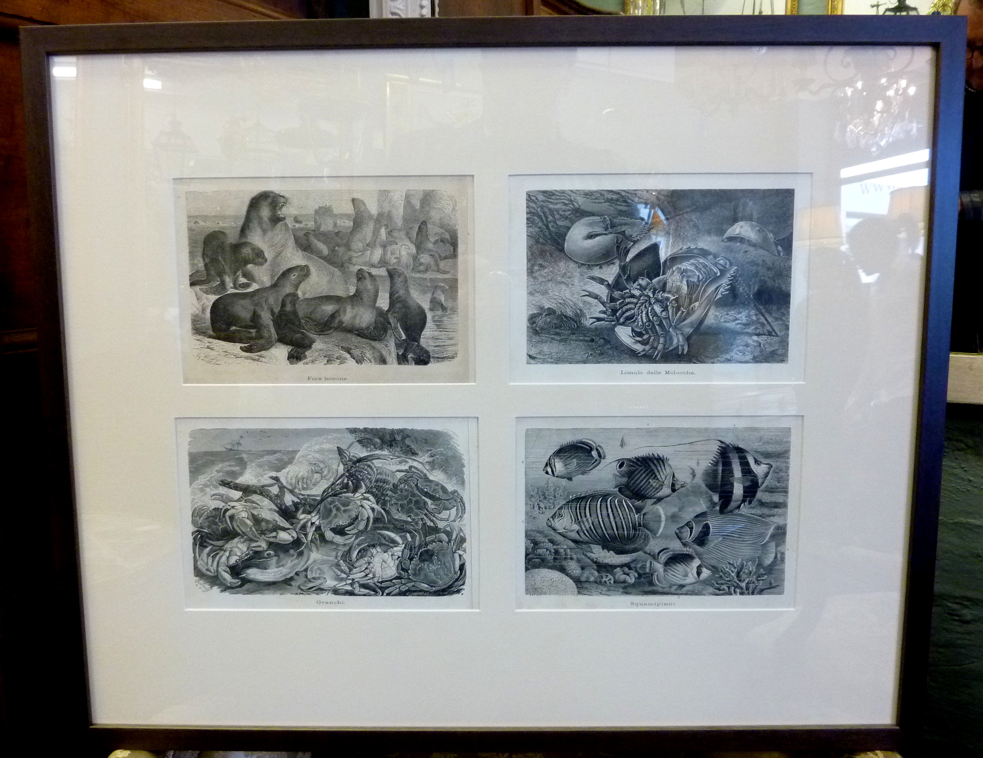 A Collection of Italian Lithographs